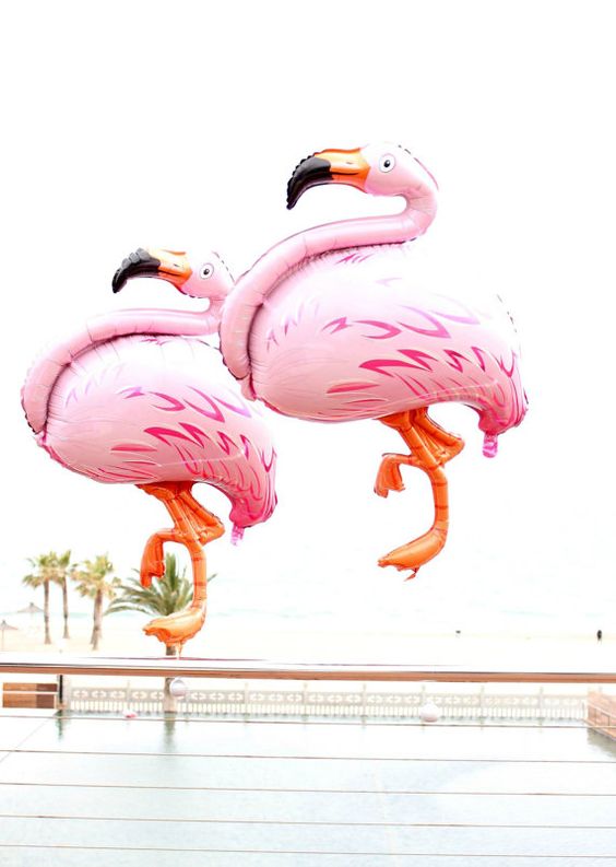 Fondos de fotos con globos de piñas flamingos y frutas
