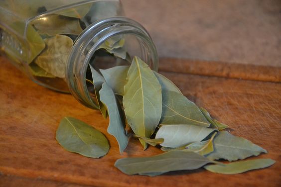 Como eliminar la ansiedad con hojas de laurel
